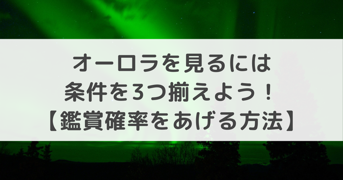 だるま 9 年